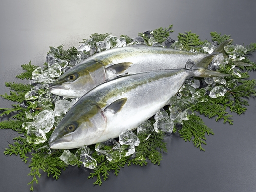 ぶり（写真AC）